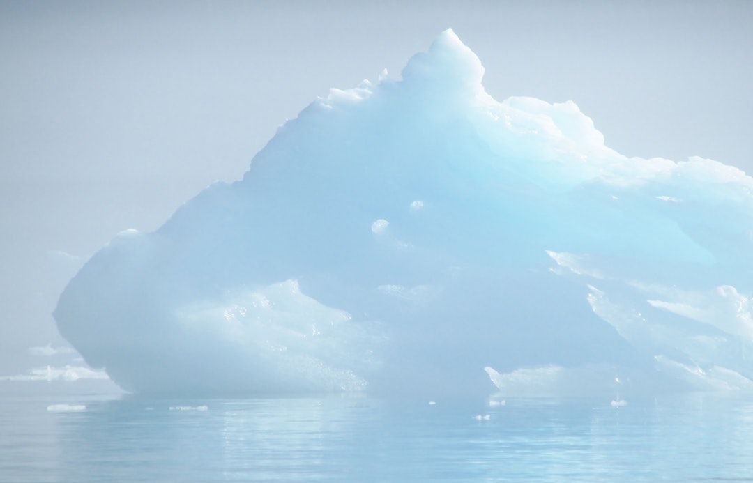 As we wound our way up Le Conte Bay en route to Le Conte Glacier the sun began burning off the fog. Several icebergs, like this one, glowed beautifully depending on their age, the density and translucency of the ice, and other factors.