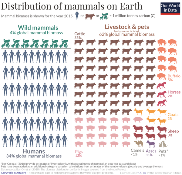 Mammals