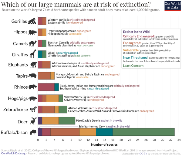 Mammals